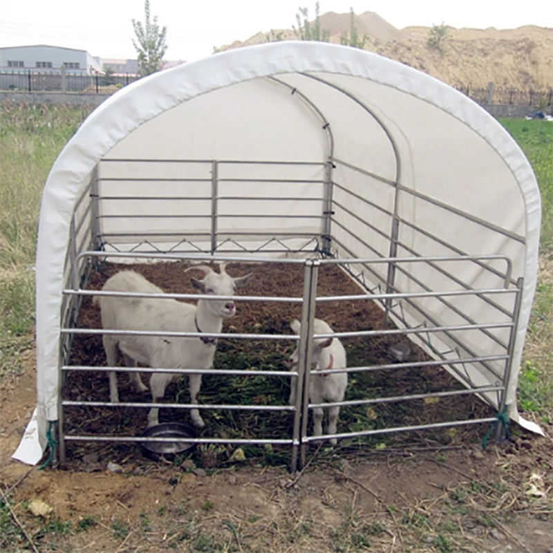 Tenda externa para abrigo de gado para cavalos e animais